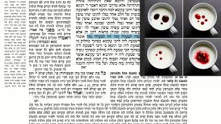 דף יומי מסכת שבועות דף ו Daf yomi Masechet Shevuot page 6  ע"י יוני גוטמן (שיעורי הדף היומי ב-20 דקות – מועבר ע"י ר' יוני גוטמן – לעילוי נשמת אביו ר' אלימלך צבי (צביקה) גוטמן ז"ל) - התמונה מוצגת ישירות מתוך אתר האינטרנט יוטיוב. זכויות היוצרים בתמונה שייכות ליוצרה. קישור קרדיט למקור התוכן נמצא בתוך דף הסרטון