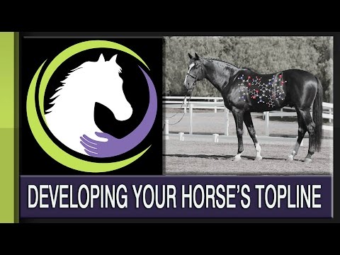 Developing Your Horse’s Topline