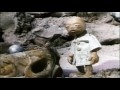 The Secret Adventures Of Tom Thumb Trailer