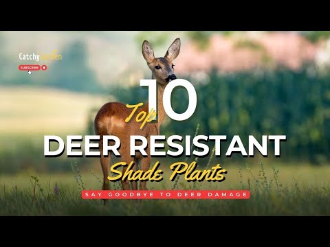 鹿の被害に別れを告げる：日陰に強い植物トップ10 🌷🦌
