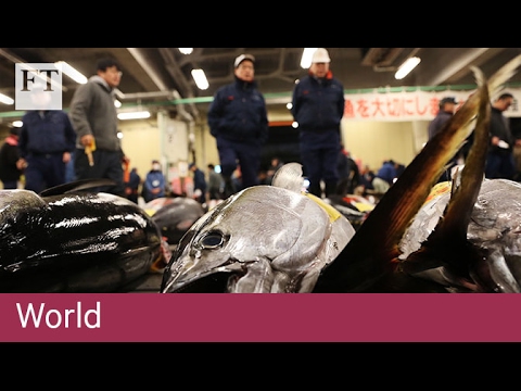 Delays hit Tokyo Tsukiji fish market: Financial Times