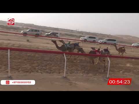  ش 19 (رساله) لـ سعد محمد الصديق الدروشي 2:11 , شارة الصندوق 2026/03/21 فطامين الجبيب