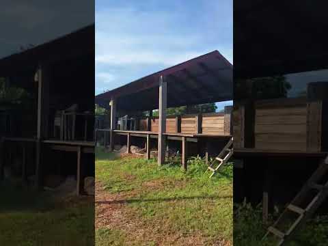 A Fazenda Mais Barata da Bolívia? 7.656 Hectares de Pecuária no Beni