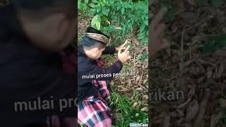 Download lagu Proses penarikan harta Karun emas batangan mp3 Download lagu Proses penarikan harta Karun emas batangan mp3