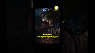 Download lagu Koil Lagu Hujan Lirik Short #shorts #koil #hujan mp3