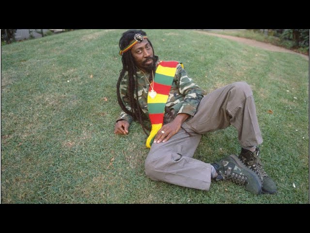 Video pronuncia di wailers in Inglese