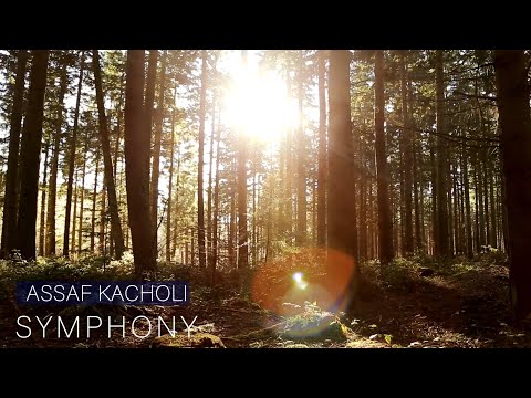 Assaf Kacholi - Symphony (Clean Bandit) [Official Video]