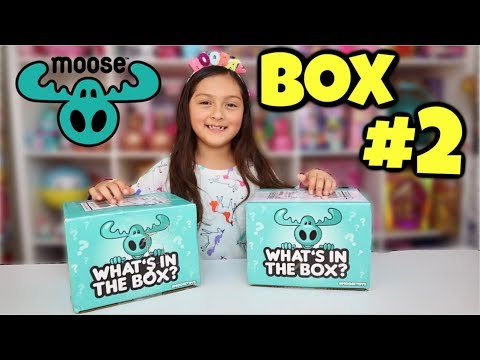 What's in the Box? From Moose Toys Box #2 Video