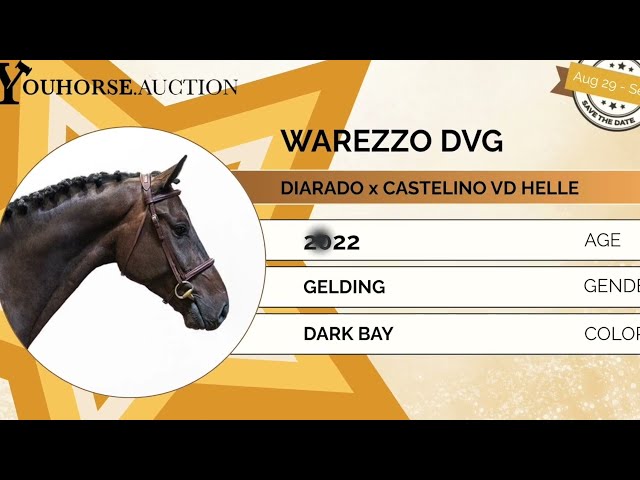 Warezzo homevideo