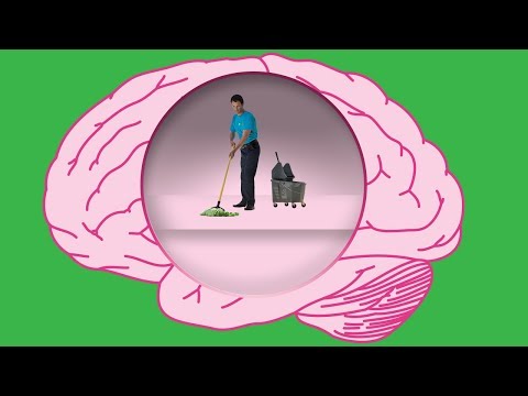 How Does Your Brain Clean Itself?