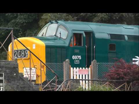 An English Electric Type 3 locomotive departs Buckfastleigh Station.