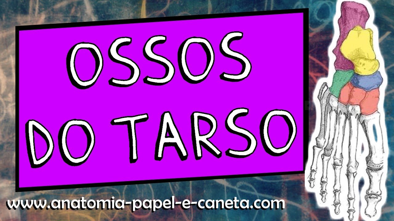 Anatomia óssea dos MMII - (Parte 1/7) - Ossos do TARSO