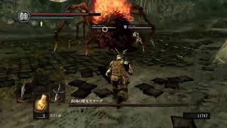 ダークソウル　二人なら！