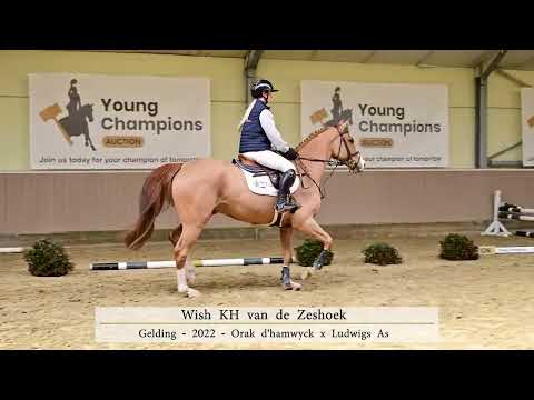 Under Saddle