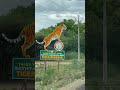 Sathyamangalam Tiger Reserve Forest Tamil Nadu India