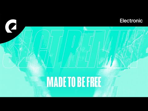 Ray feat. Phil Waters - Made To Be Free (SLCT Remix)