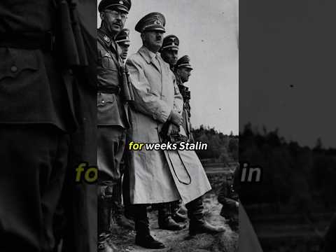 No One Celebrated? The Truth After Hitler Died 🤯🪖| #shorts #history #ww2