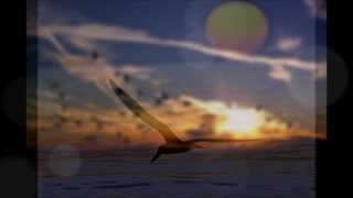 Rue Du Soleil -  We Can Fly