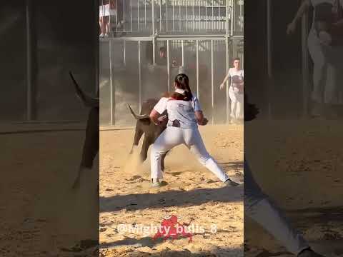 Ytochka - Spanish Bull - Misc Originals