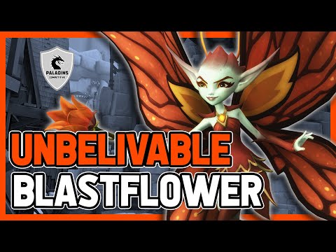 UNBELIVABLE Willo Competitive (Pro Player) BLASTFLOWER