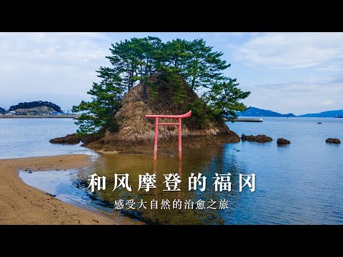 感受大自然的治愈之旅