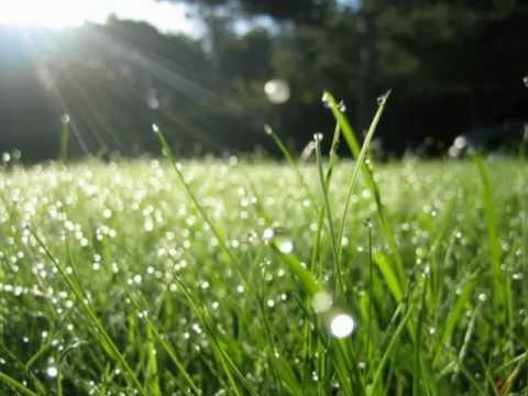 Ban mai xanh - Khánh Linh