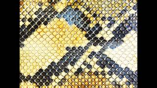 The Amazing Snakeheads-Amphetamine Ballads(FULL ALBUM)