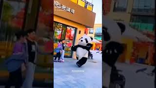Download lagu # Funny video # Cute Panda Running 😂😂 mp3 Download lagu # Funny video # Cute Panda Running 😂😂 mp3