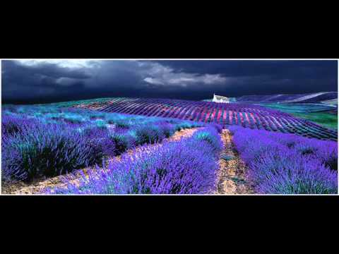 Soulstance - Blue Grassland