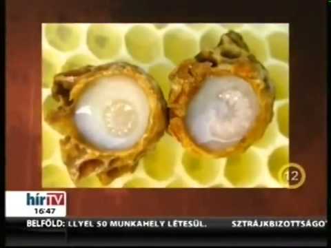 krémkészítmények pénisznagyobbításhoz hogyan lehet egy pénisz hosszú