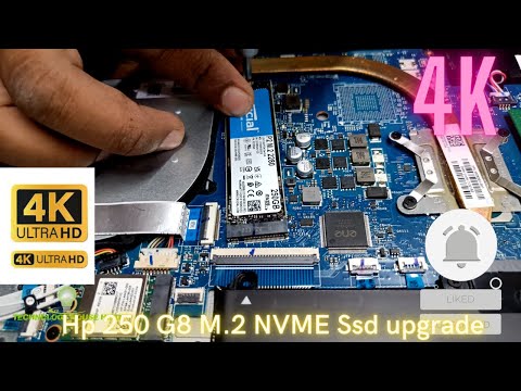 Hp 250 G8 M.2 NVME Ssd upgrade | Hp 250 G8   Ram Upgrade | hp 250 G8  Ssd upgrade |