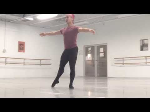 Prince Siegfried Variation 2014