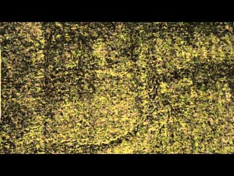 Dice Tower Reviews: Mystery Rummy 1 - Jack the Ripper