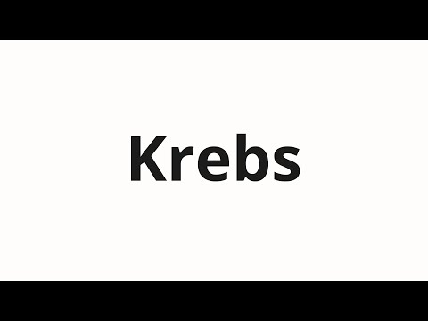 How to pronounce Krebs