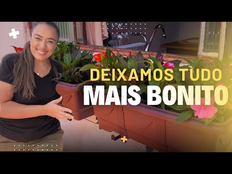 COMEÇANDO UM SÍTIO DO ZERO | ROTINA REAL E CHUVA FORTE NA ROÇA