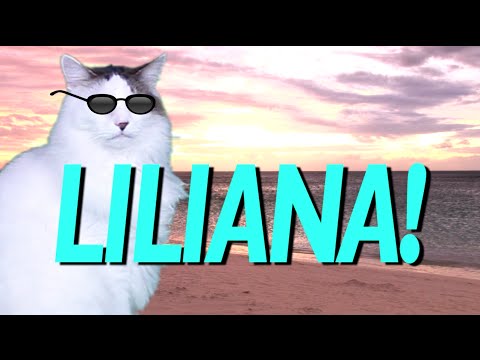 HAPPY BIRTHDAY LILLIANA! - EPIC CAT Happy Birthday Song