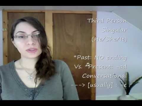 Farsi / Persian Lesson: Verbs - To See (27)
