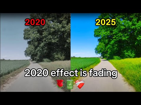 What Tf Is The 2020 Effect?