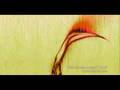 Front 242 MorF She Kissed An Angel