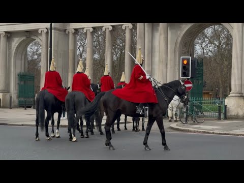 Horse Guards Forced to STOP in the Middle of Major London Road
