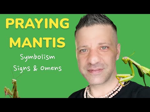 IF A PRAYING MANTIS LANDS ON YOU | OR IF IT COME VERY CLOSE TO YOU | Symbolism | Signs & Omens