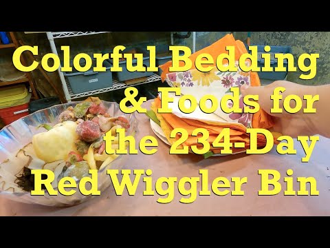 234-day red wiggler worm bin gets 19th feeding after 10 days - vermicompost