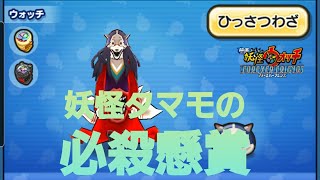 妖怪ウォッチぷにぷに・Ｙポイントご褒美のタマモの必殺技懸賞をしました。