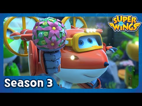 Witness21 Editor  2019 12 28