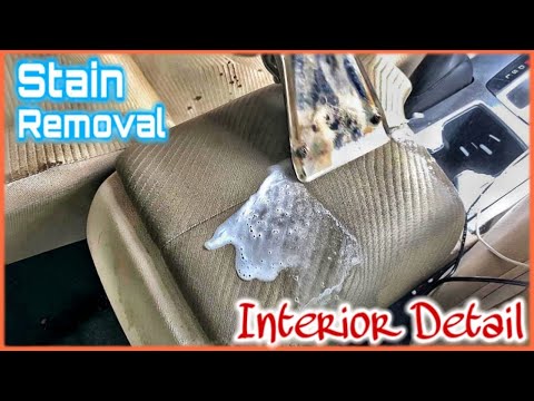 DIRTY INTERIOR STAIN REMOVAL〡 DETAIL ON DAILY DRIVER