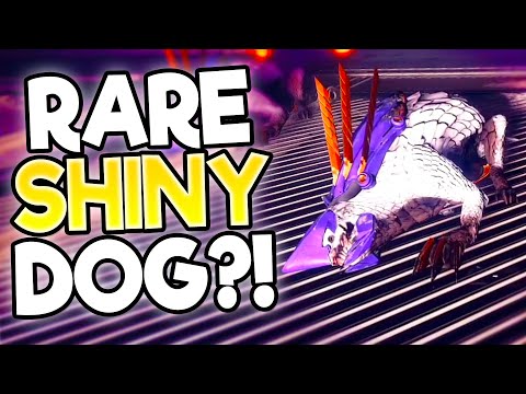 Running Duality And I Find THIS?!