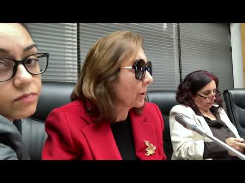 Prof. Dr. Serap Yazıcı Özbudun - Adalet Komisyonu Konuşması (22 Ekim 2024)