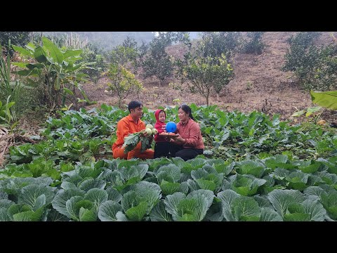 A peaceful day in the vegetable garden of a single mother and an electrical engineer.
