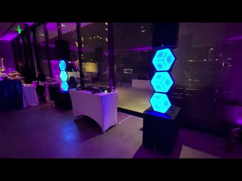 DJ Dan Utica Services video.