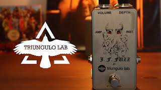 Video thumbnail for Triungulo Lab JF Fuzz (Mosrite Fuzzrite Reissue) | Demo by mick kraviz